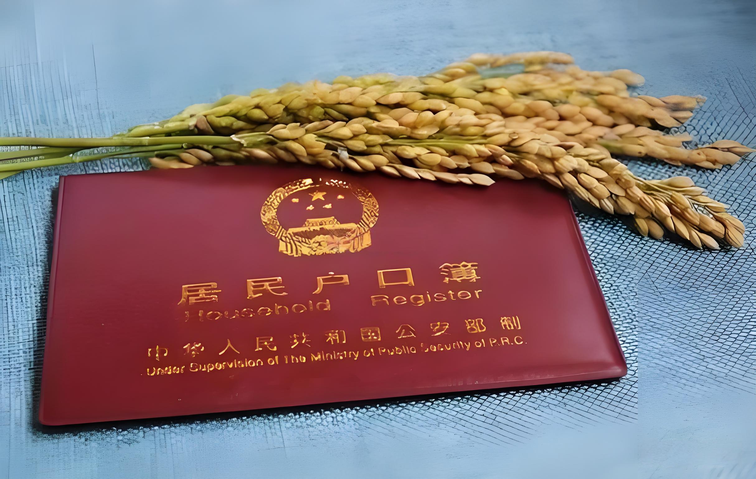 如何选择适合自己的集体户口方式